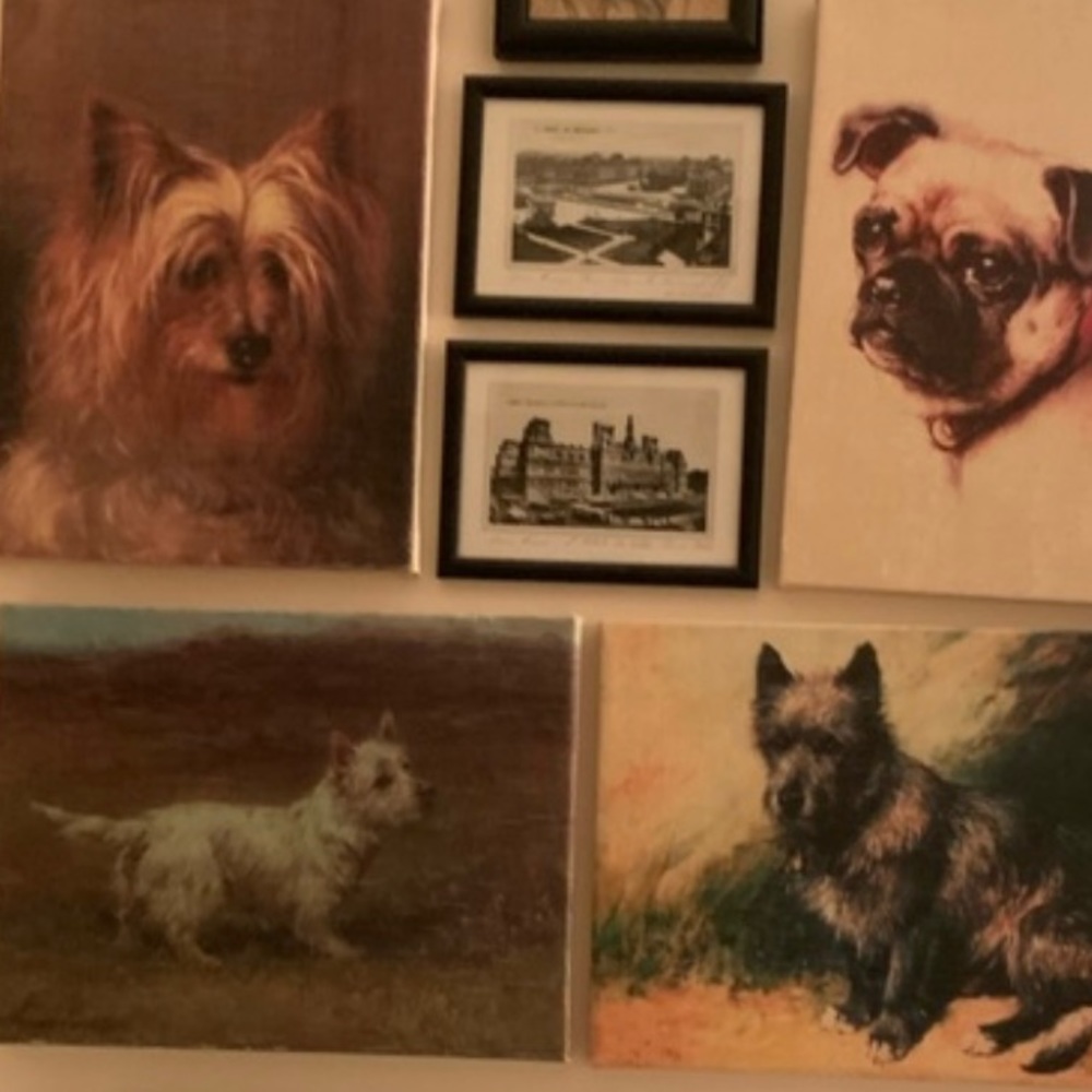 ! Set Antique Sketches from Paris. - Picture 6 of 16